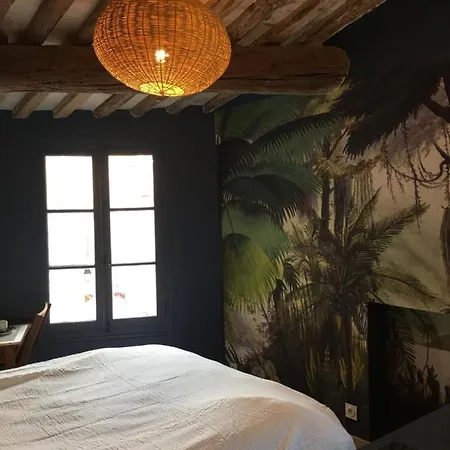 Cosy A 10 Metres Du Port De Apartament